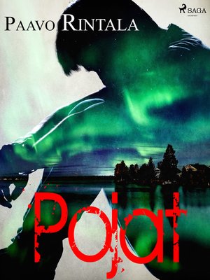 cover image of Pojat